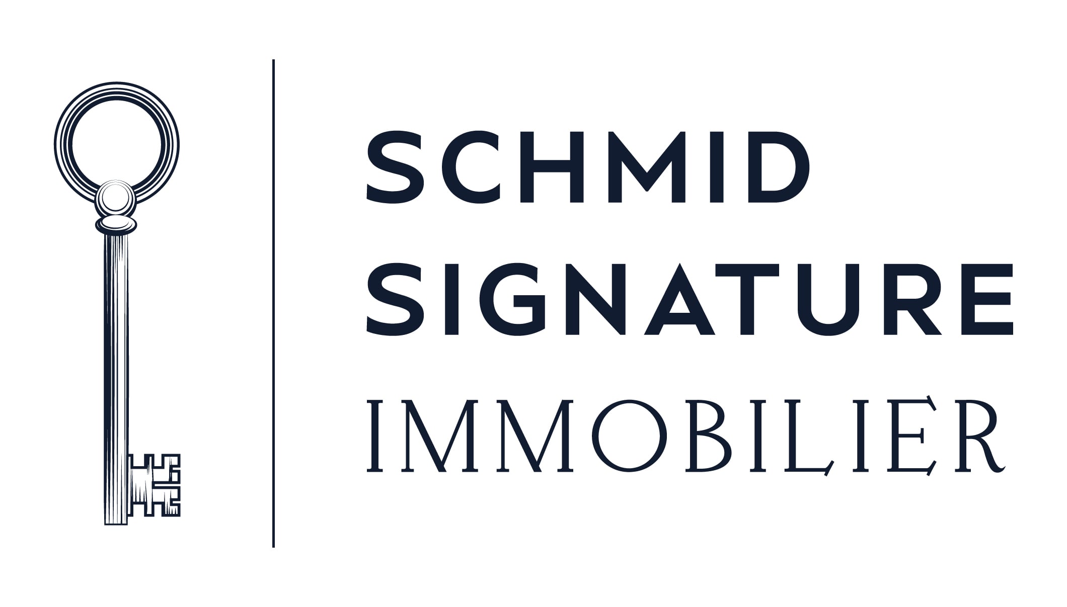 SSI_logotype_bleu